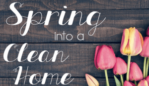 Tips for Spring Vacation Rental Cleaning