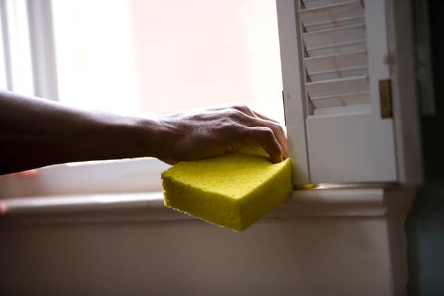 Sponge on window. Photo by CDC on Unsplash.