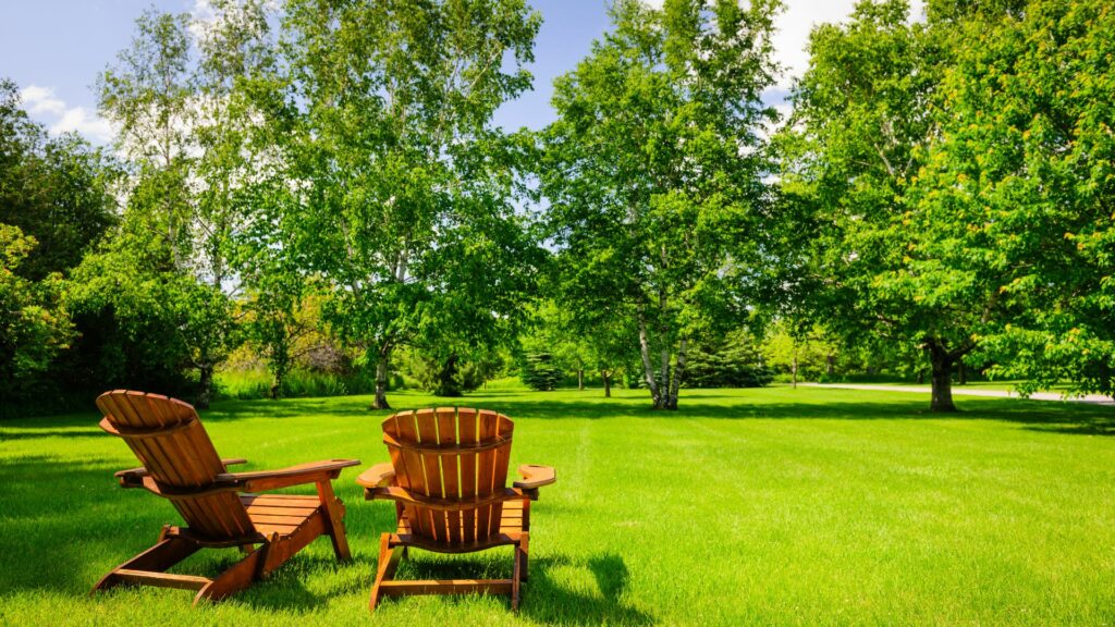 Backyard lawn chairs