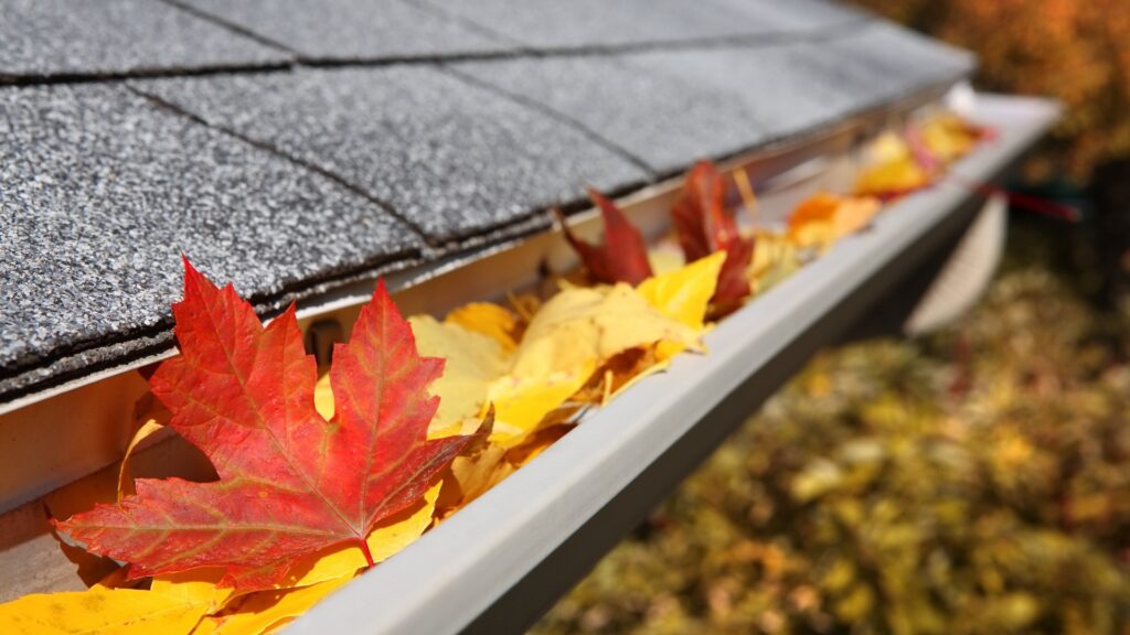 Fall leaves trapped in an Airbnb property's gutters